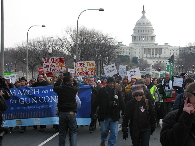 Marcia a Washington per il controllo delle armi, 2013